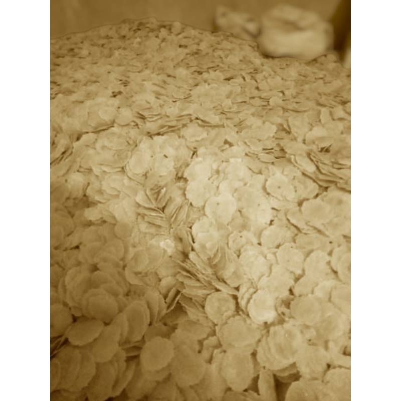 

Emping Melinjo Bahan Mentah Asli Pandeglang Banten Harga Grosir Kemasan 10kg