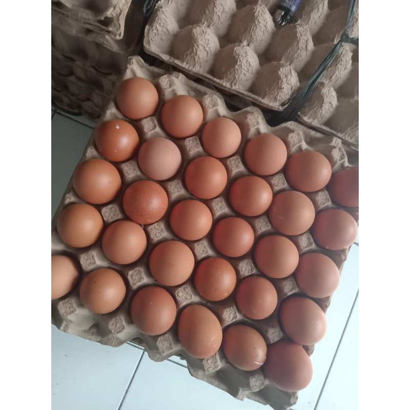 

TELUR AYAM NEGRI 1 PAPAN ISI 30 PCS GRADE A PREMIUM