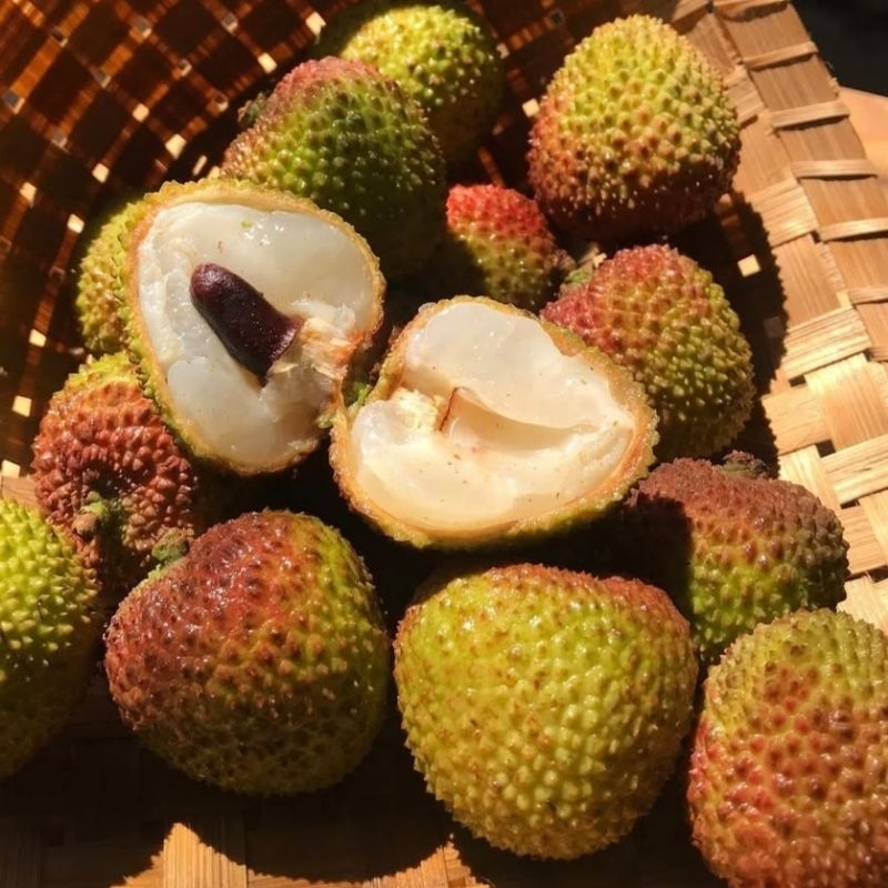 

Kirim Instan ..Leci Madu Impor | Leci Madu Segar Manis | Leci Manis | Lychee Fresh