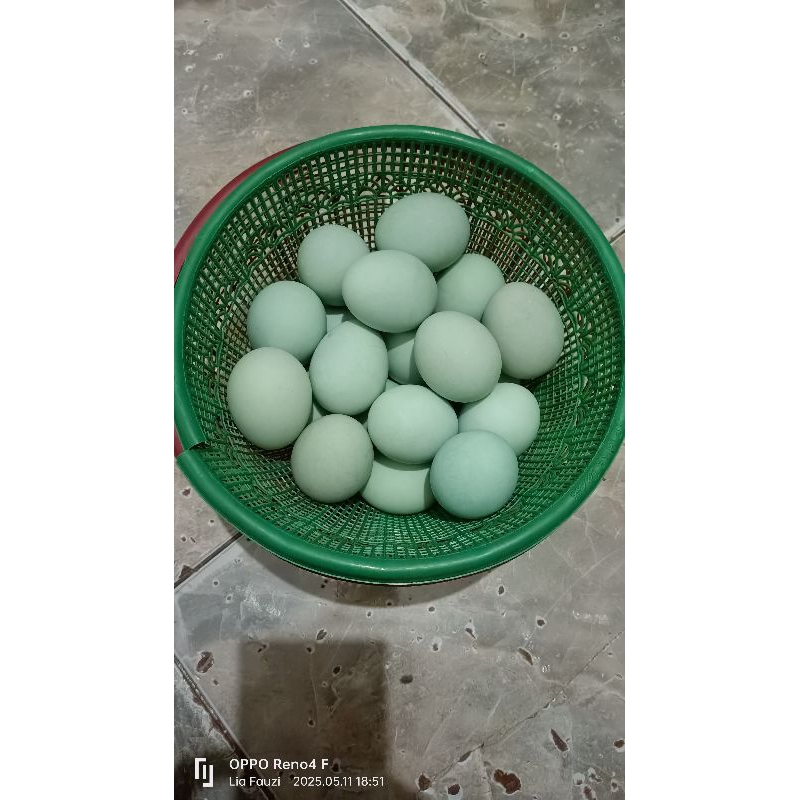 

telor asin godog gurih renyah bermanfaat enak