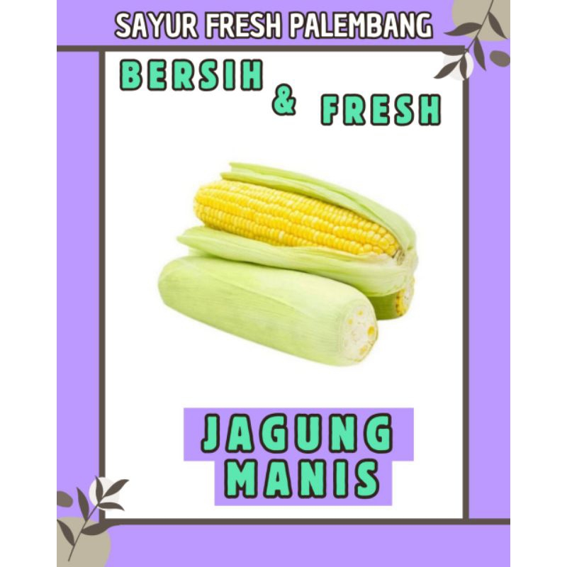 

JAGUNG MANIS FRESH & BERSIH - PALEMBANG