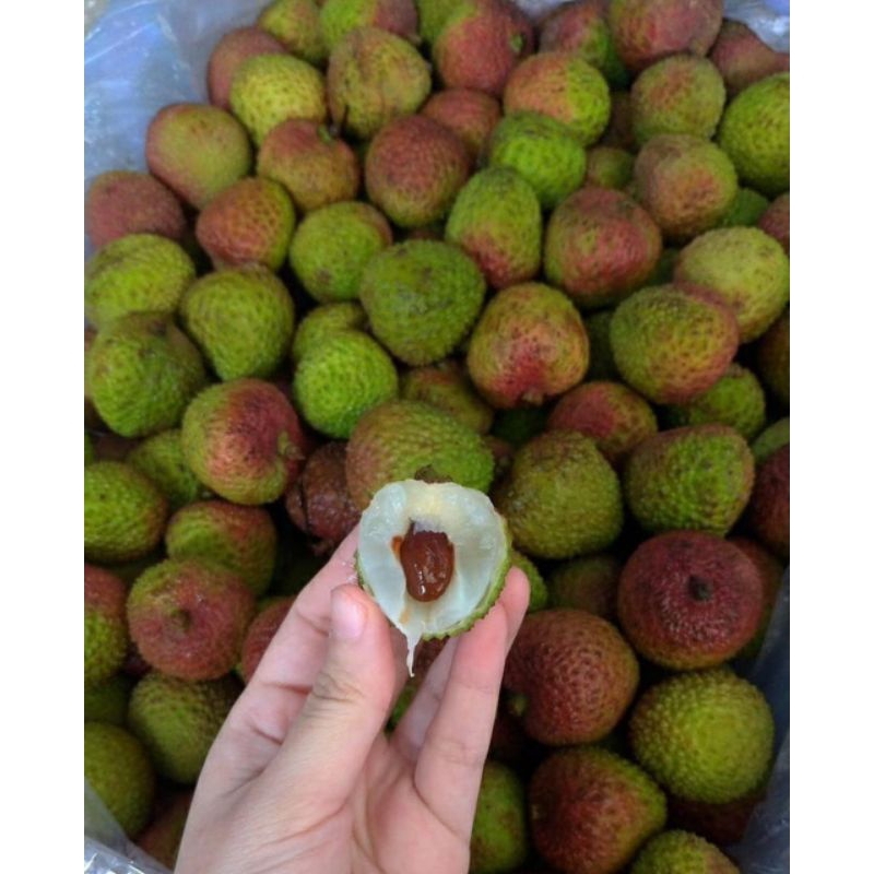 PROMOO Leci Madu /Buah manis
