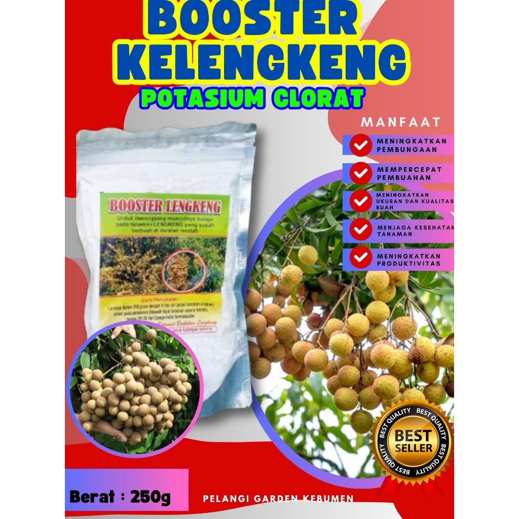 UNGGULAN  Boster Kelengkeng New Kristal Berbunga