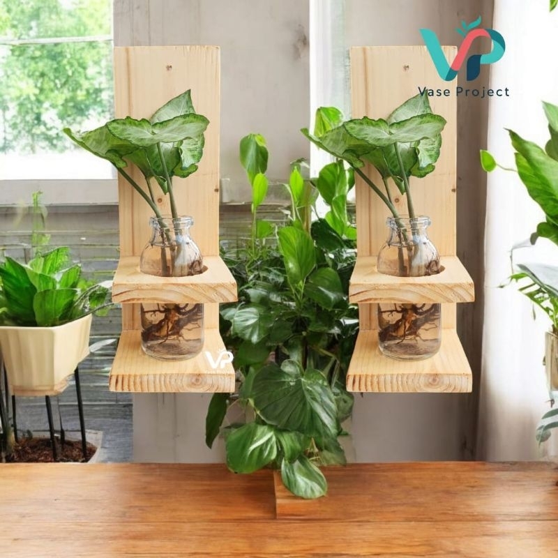 Paket Vas Bunga Pot Botol Gantung Kayu Dengan Tanaman Hias Syngonium Phodophyllum Tanaman Asli Hidup
