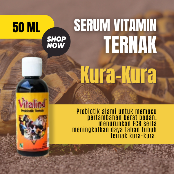 Vitamin ternak kura kura vitamin kura kura brazil  vitamin kura kura air  hiasan kura kura akuarium 