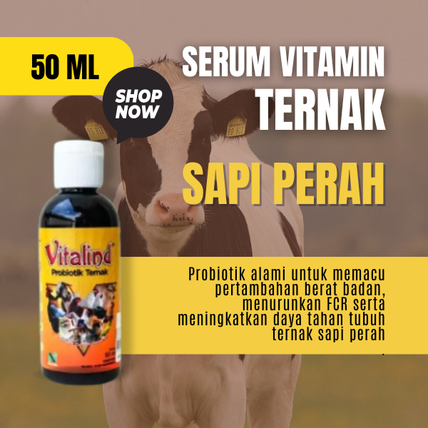 Vitamin peternak sapi perah vitamin sapi b complex  vitamin rambut rontok dan kering  vitamin sapi p