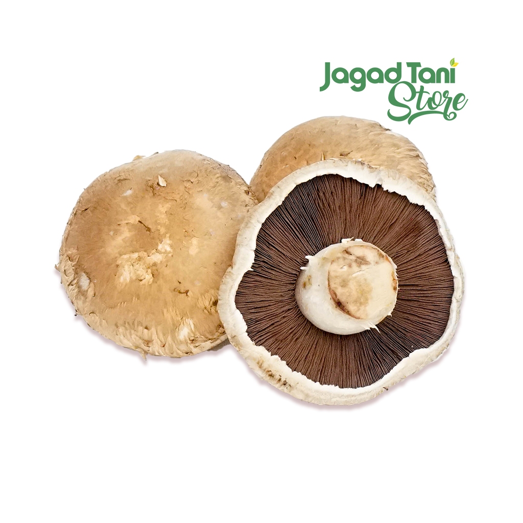 

SUFARM Jamur Portobello Segar Curah 1kg - Premium Portobello Mushroom