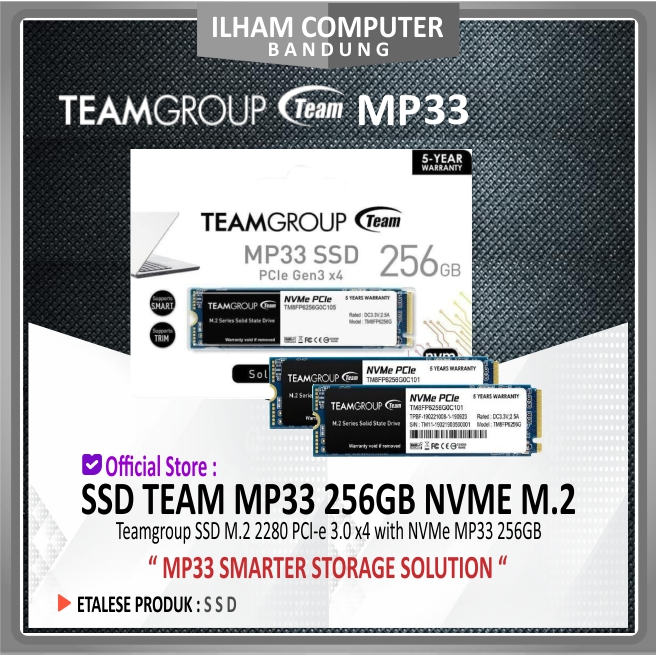 Team MP33 SSD NVMe M.2 / M2 256 GB - NVMe 256GB