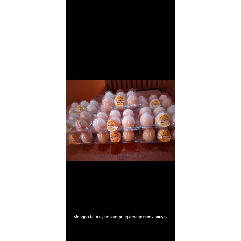 

telur ayam kampung omega