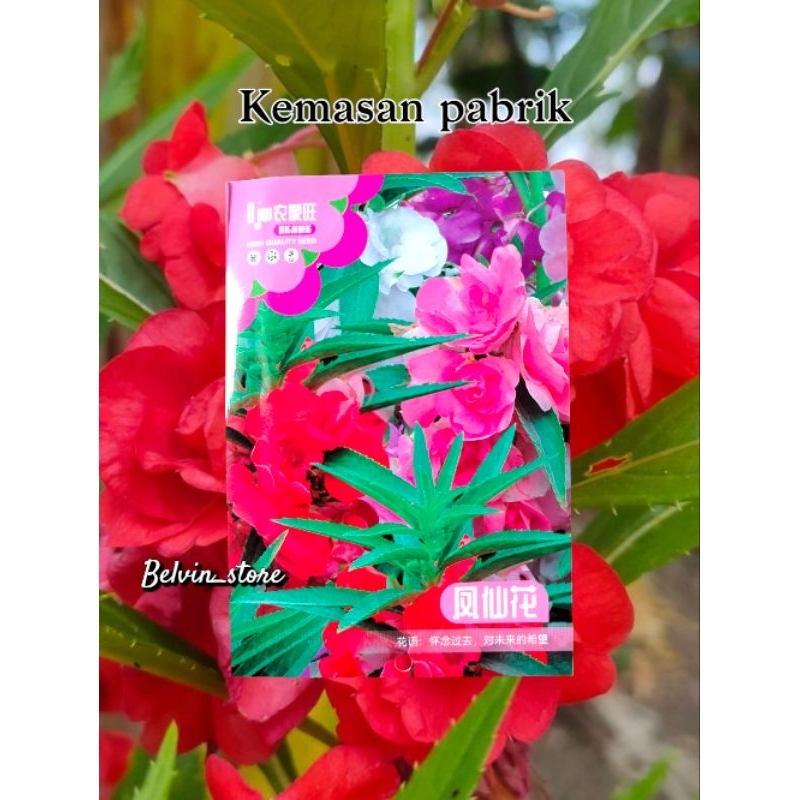 benih bunga pacar air mix import [kemasan pabrik]