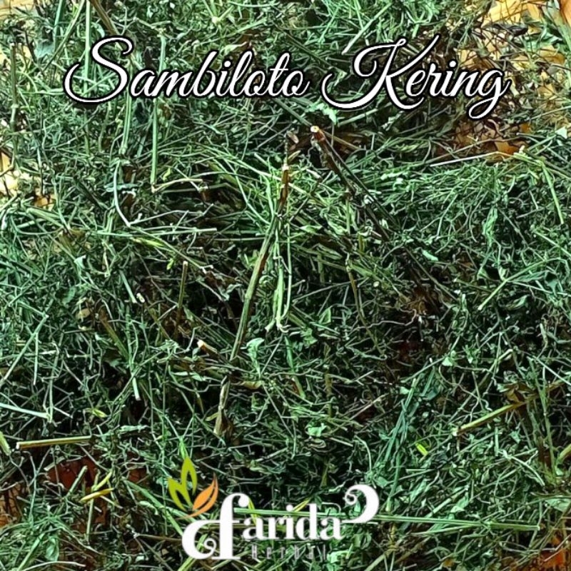 

Daun Sambiloto Kering Grade A1kg/Asli Murni Sambiloto kering