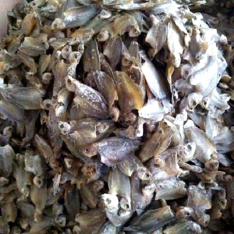 

Ikan Asin sepat siam kecil