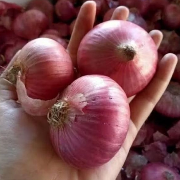 

( 1kg ) Bawang Merah Import india Jumbo Super