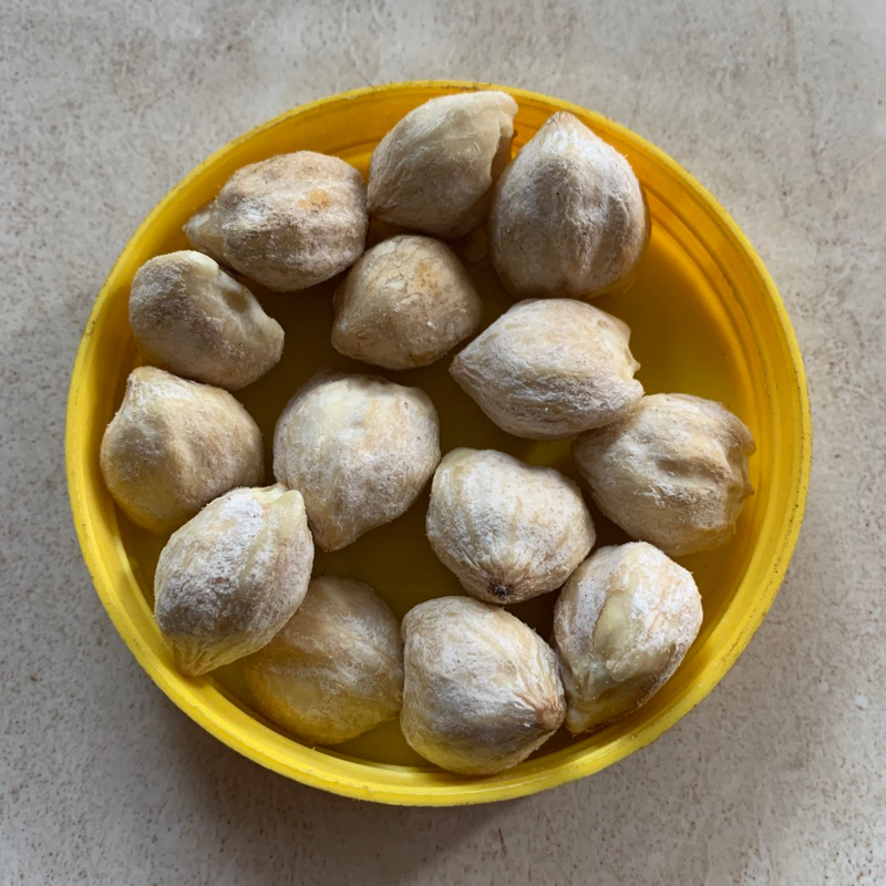 

Kemiri Kupas Kering Rempahlu - 100gr | Kacang Kemiri Asli luamjang, Siap giling untuk Bumbu Masakan