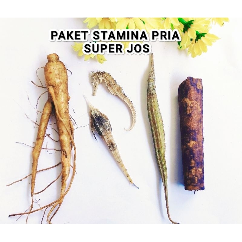 

PAKET STAMINA PRIA || KUDA LAUT+GINGSENG+NAGA LAUT+BURUNG LAUT+KAYU AKWAY