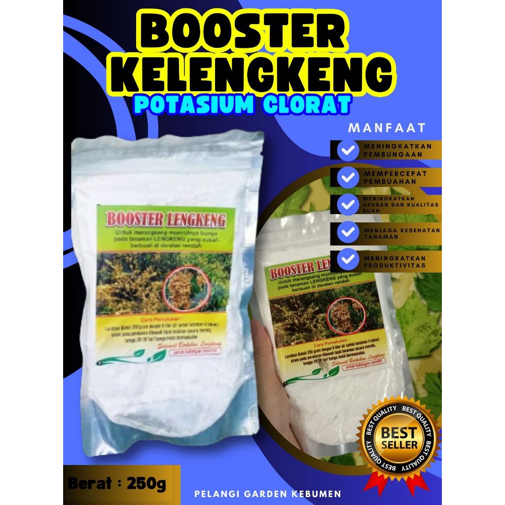 TERBAIK  Booster Buah Kelengkeng Pingpong, Booster Buah Kelengkeng Pingpong Berbuah, Booster Buah Ke
