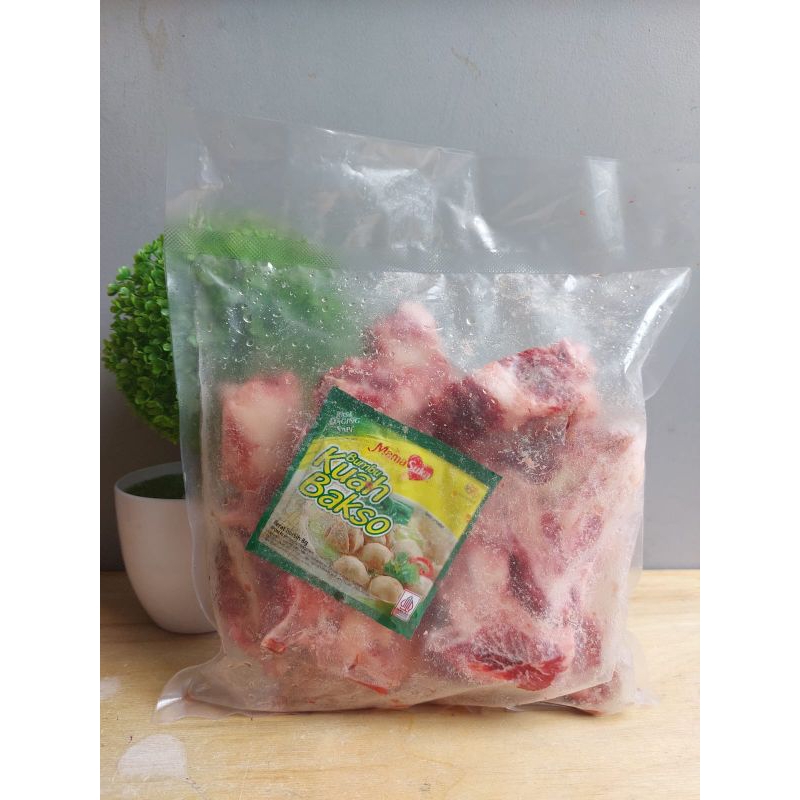 

TULANG IGA BAGIAN BACKBONE