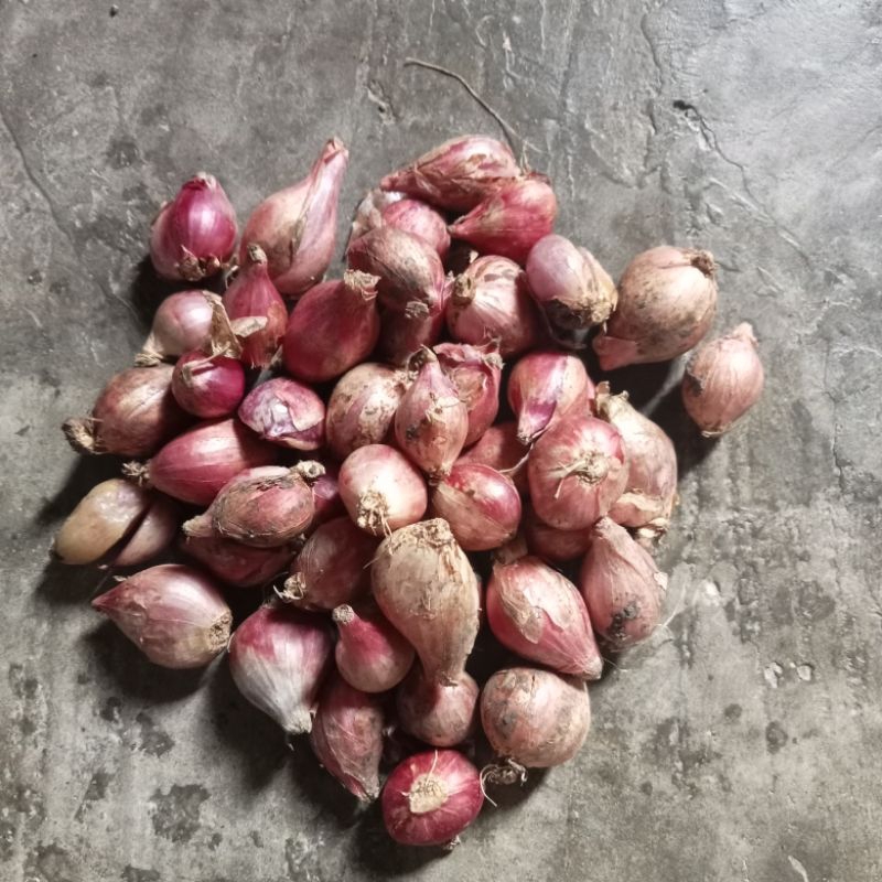

bawang merah asli nganjuk (kecil) 1kg