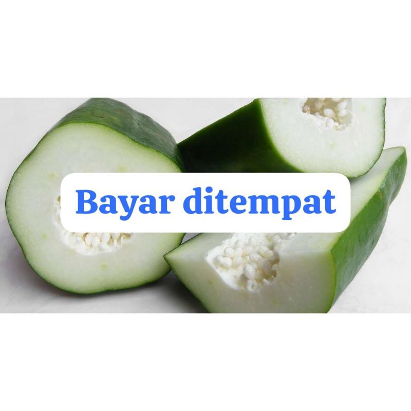 

Pepaya muda 1kg