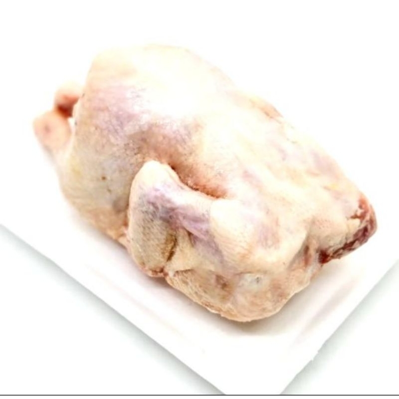 

Ayam Karkas Berat 0.7 - 0.8kg