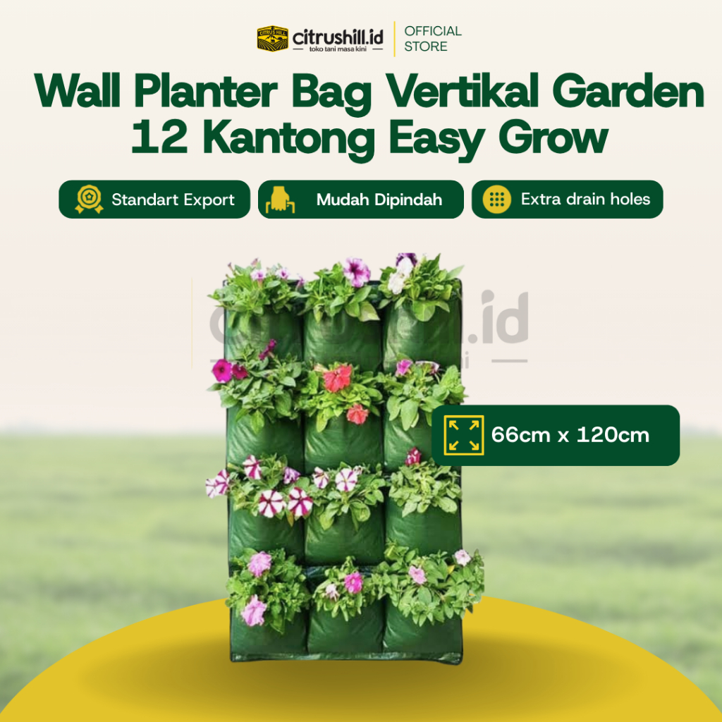 WALL PLANTER BAG EASY GROW VERTICAL GARDEN 12 KANTONG
