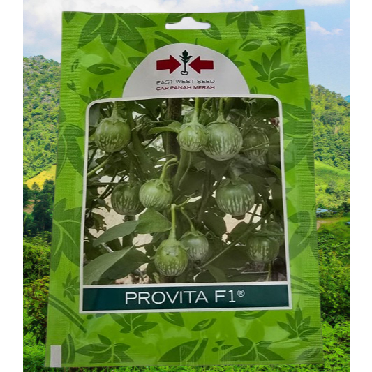 Benih Terong Lalap Hijau Hibrida PROVITA F1 Isi 400 Butir