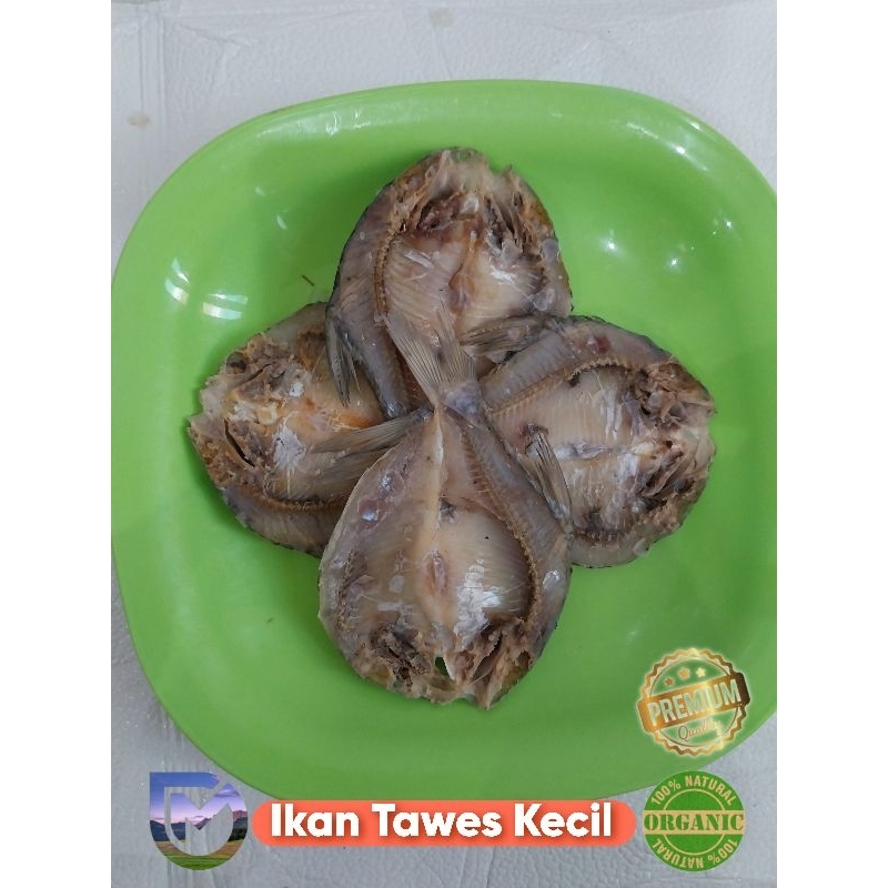 

Ikan Tawes Kering kecil