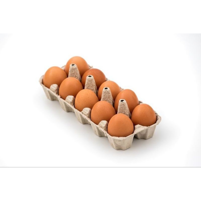 

Telur per 10 butir BATAM