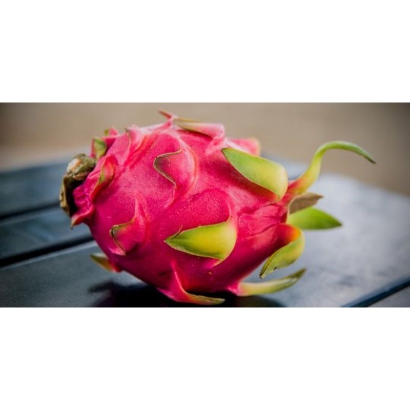 

JYOTI DRAGON FRUIT / BUAH NAGA 1 KG