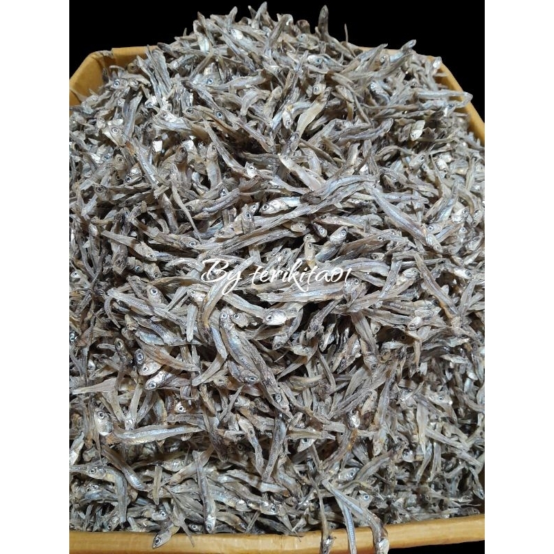 

IKAN BADA HITAM TAWAR