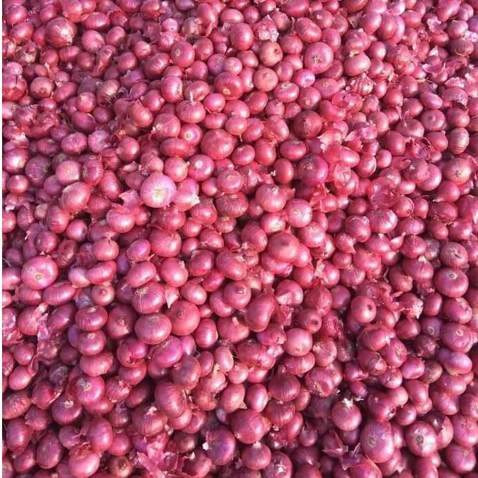 

Bawang Merah super murah 1Kg Besar Lokal Sangat Bagus