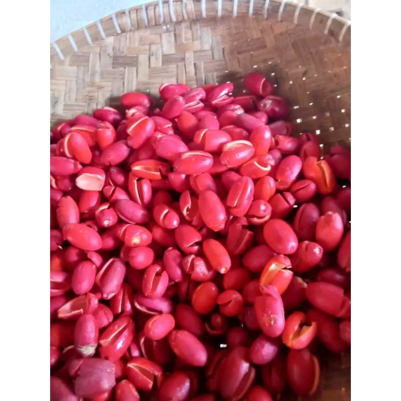 

Kulit Melinjo Masih Segar | Asli Banten | 1 Kg