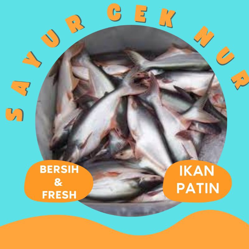 

IKAN PATIN FRESH & BERSIH - PALEMBANG