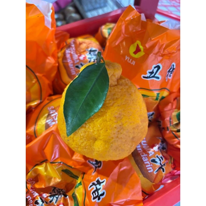 

Jeruk Dekopon (Jeruk Papagan) 1kg – Manis & Segar