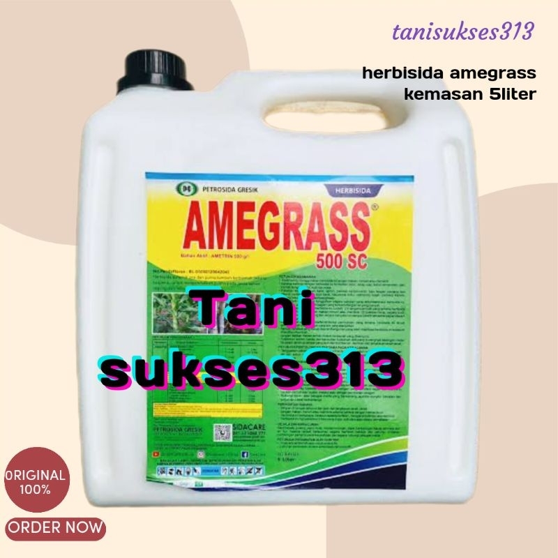 Herbisida amegras 500sc kemasan 5liter obat pembasmi gulma pada tebu amigras 5liter