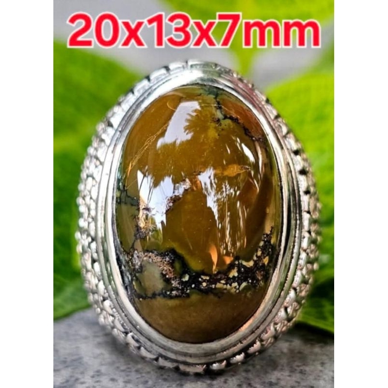 Natural Pirus Hubei Hijau Kecoklatan Ceplok