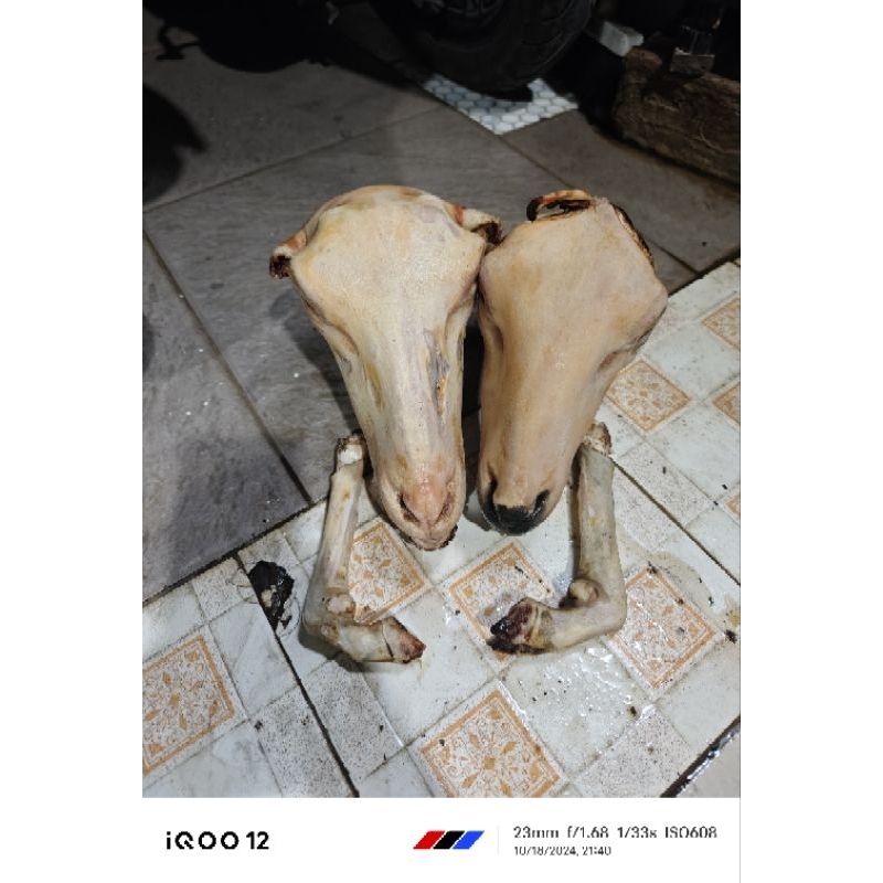 

Kepala Kambing/Domba Bakar Bersih