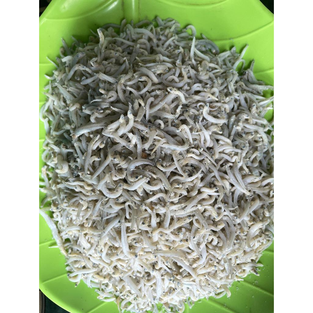

Ikan Teri Medan Asin Ukuran Kecil & Rasa Gurih Best Seller Teri Medan Asli Teri Nasi Teri Putih Kering Fresh & Wangi