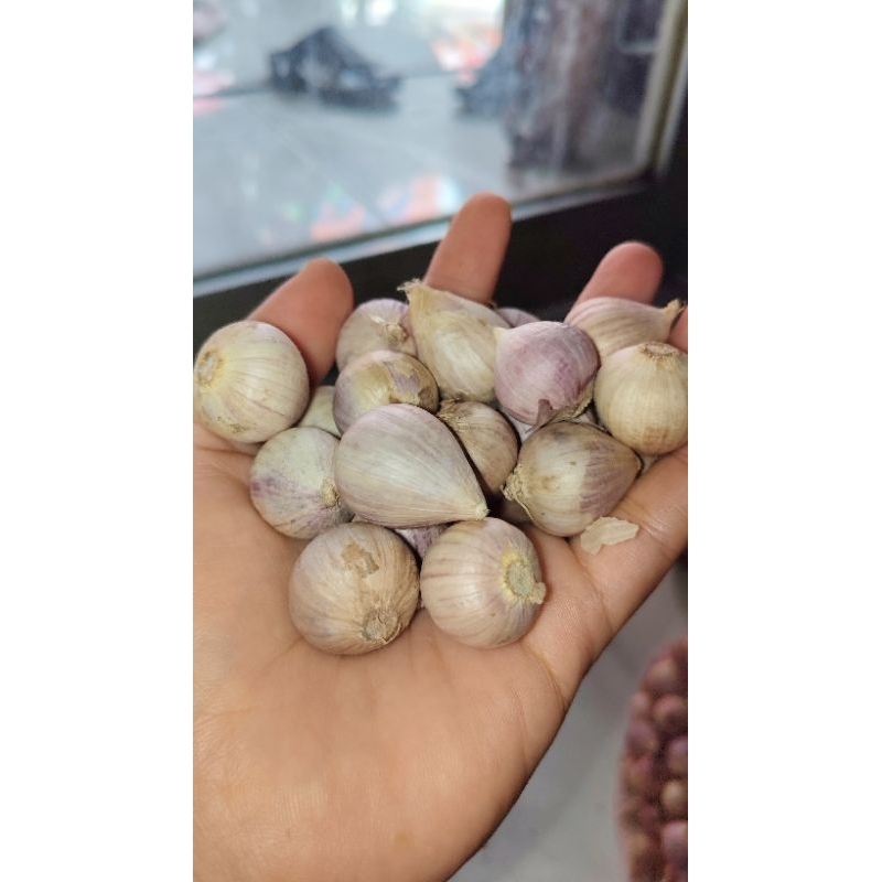 

Bawang putih tunggal 250 gram / bawang lanang