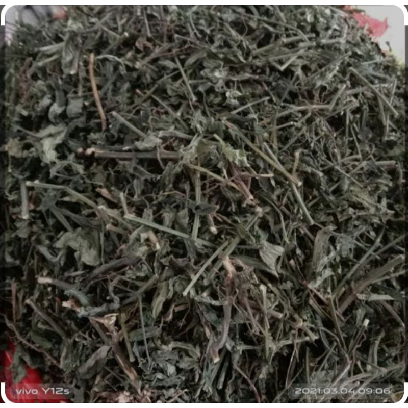 

daun kumis kucing kering 100 gr