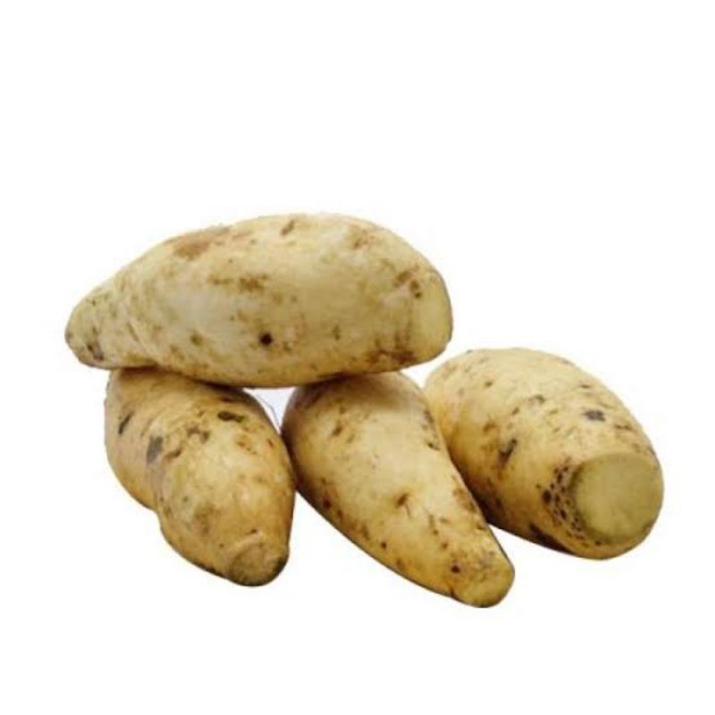 

UBI PUTIH 1kg