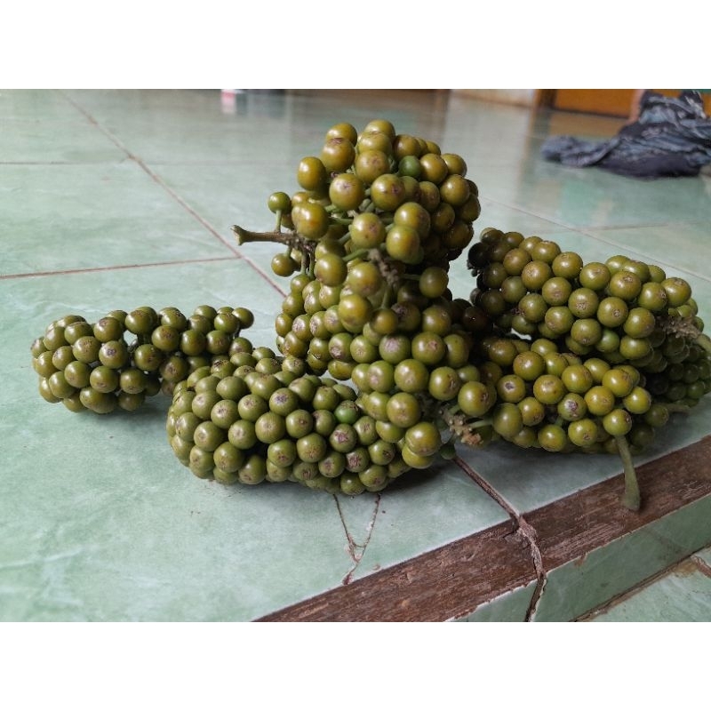 

buah rinu kemukus/tua masih pres dari phon nya langsung kualitas bagus 1kg