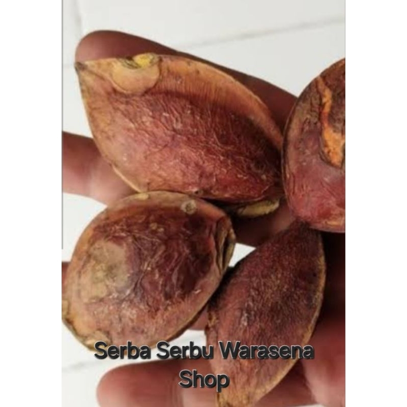 

Buah ketapang kering 200 gr