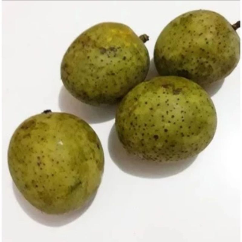 

Promo buah limus matang per buah