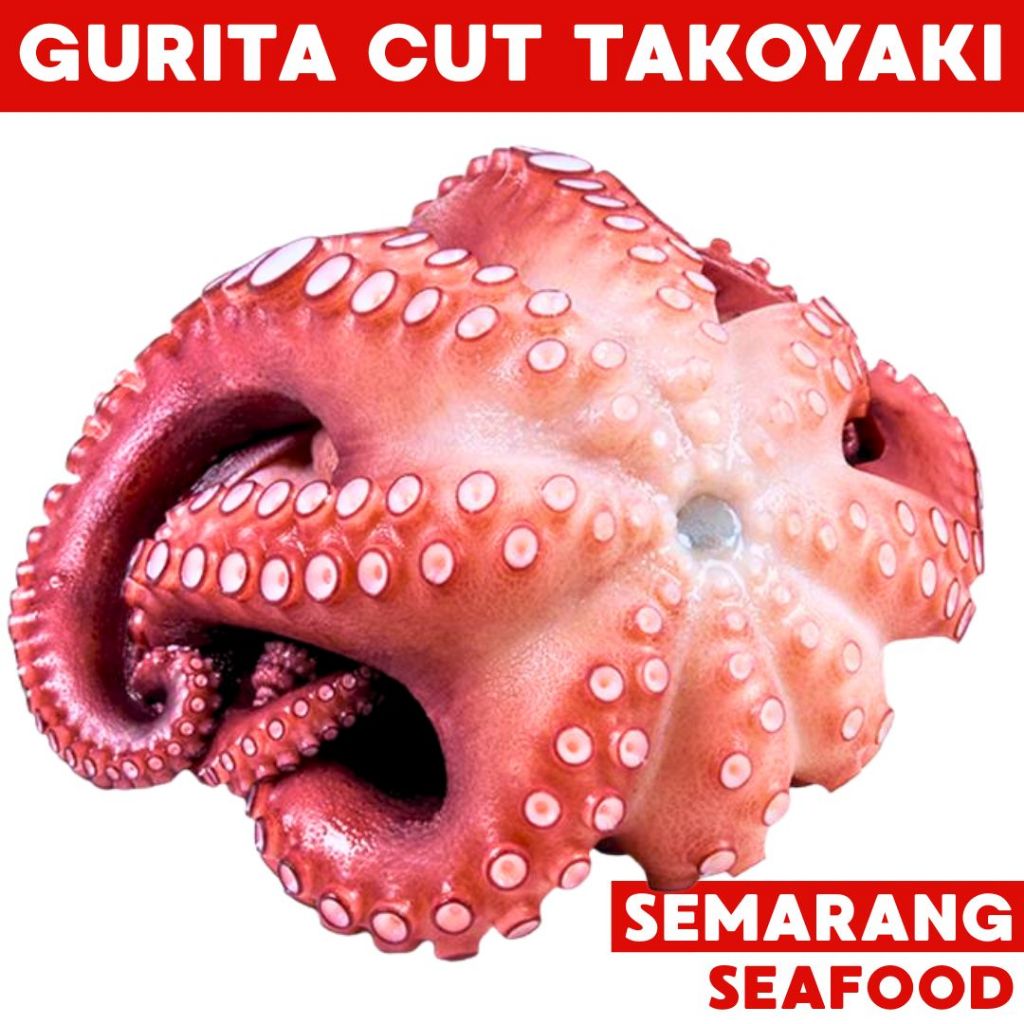 

Gurita Cut Takoyaki Cooked 500gr