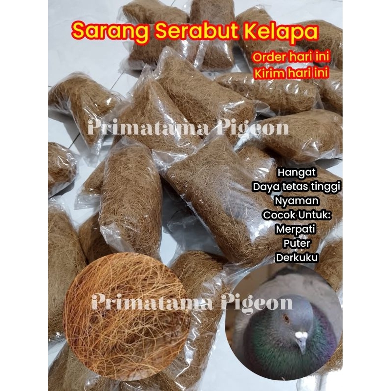 SARANG BURUNG SERABUT KELAPA / ALAS SARANG BURUNG / ALAS KANDANG