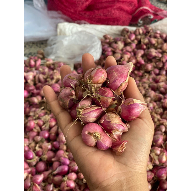

BAWANG MERAH READY STOCK SIAP KIRIM HARI INI