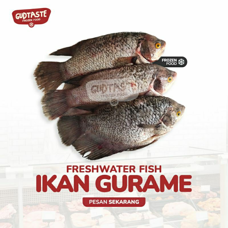 

Gurame Bersih Utuh Isi 3 - Gurame Bersih - Gurame Utuh - Gurame - Gurami - Jual Ikan Surabaya