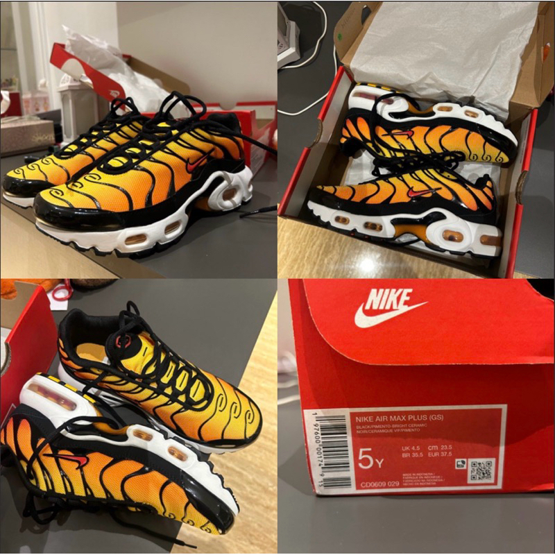 Nike Air Max Plus / Nike TN
