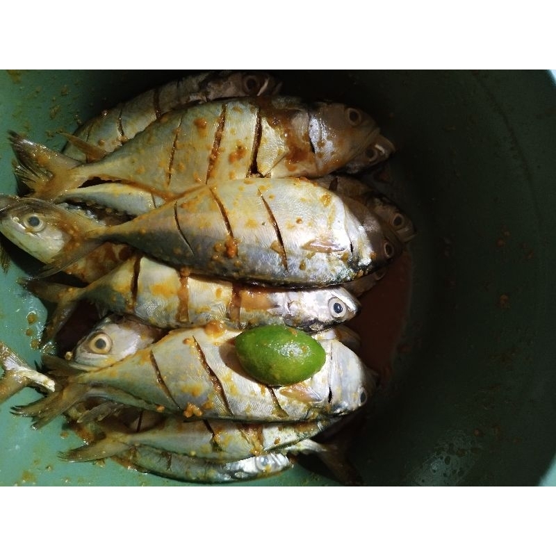 

*Ikankembungmarinasi*